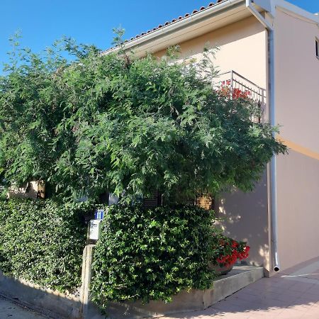 Studio Rocco Novigrad Istria Buitenkant foto