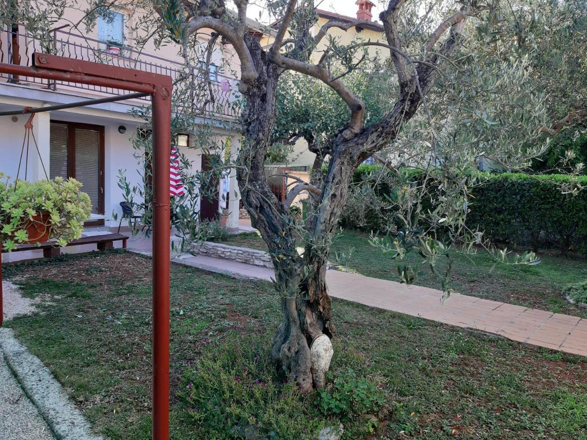 Studio Rocco Novigrad Istria Buitenkant foto